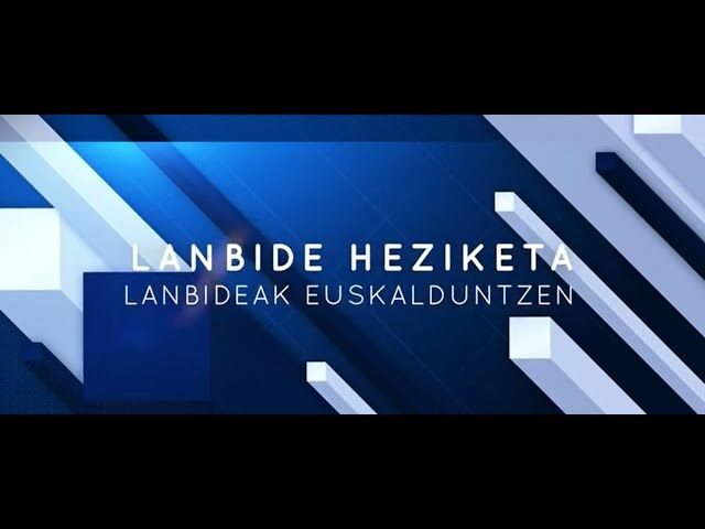 Lanbide Heziketa lanbideak euskalduntzen bideoaren irudi txikia
