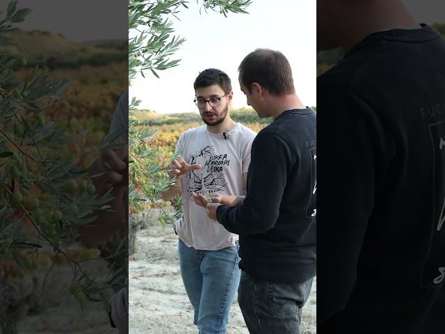 Egonarria 4x05: Arabako urre likidoaren bila I Mikel Izagirre (Erroiz proiektua) bideoaren irudi txikia