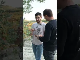 Egonarria 4x05: Arabako urre likidoaren bila I Mikel Izagirre (Erroiz proiektua) edukiaren irudi txikia