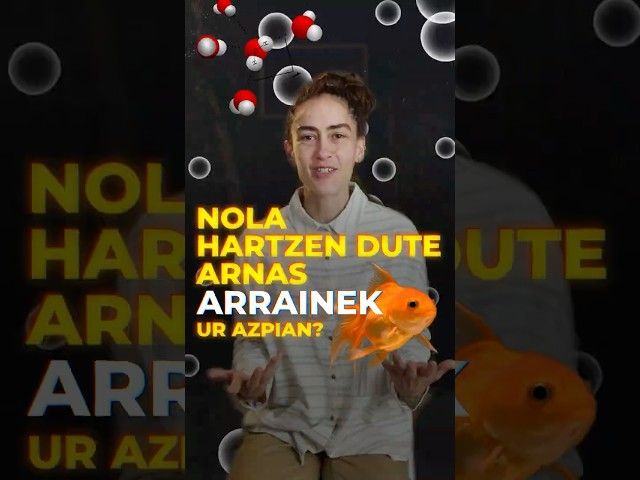Nola hartzen dute arnas arrainek? bideoaren irudi txikia