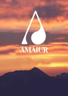 Amaiur edukiaren posterra