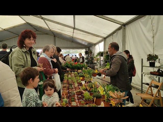 Udaberriko Lore eta Landare azoka egin dute Seguran bideoaren irudi txikia