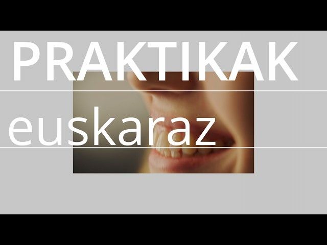 Lan praktikak euskaraz - Lansarean.eus bideoaren irudi txikia
