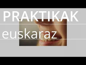 Lan praktikak euskaraz - Lansarean.eus bideoaren irudi txikia