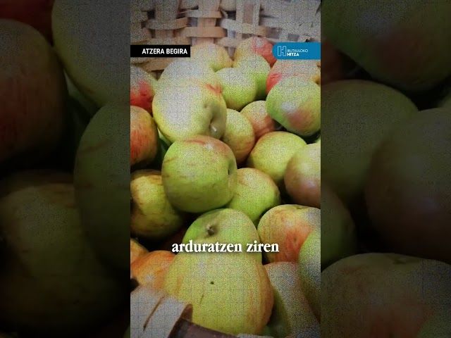⏳ Atzera begira | Donostiako podabinak: antiguatarrak, langileak eta borrokalariak bideoaren irudi txikia