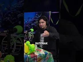 𝗕-𝗔𝗟𝗘𝗔 | 𝗣𝗮𝘂𝗹 𝗨𝗿𝗸𝗶𝗷𝗼: ❞Garai haietan bazeuden inkisidore batzuk, baina gaur egun badaude...❞ bideoaren irudi txikia