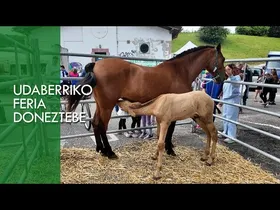UDABERRIKO FERIA 2026 DONEZTEBE edukiaren irudi txikia