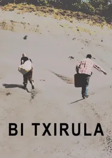 Bi Txirula edukiaren posterra