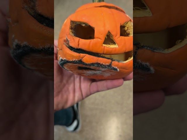 Kuia usteldu da! 😢 bideoaren irudi txikia