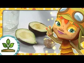 🌼Baratzea etxean: Ahuakatea 🦋 IRATXOAK 🌳 Gookapiko Baso Magikoa🌈 Marrazki bizidunak | Eskulanak edukiaren irudi txikia