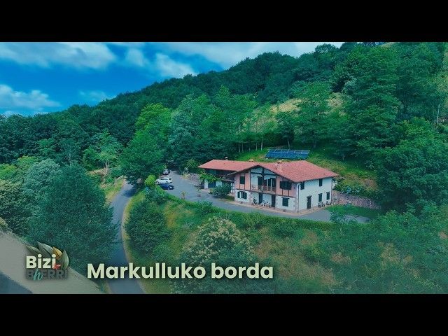 Bizib(h)erri | Markulluko borda bideoaren irudi txikia