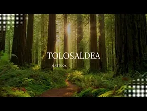 Zer diozu Tolosaldeaz? bideoaren irudi txikia
