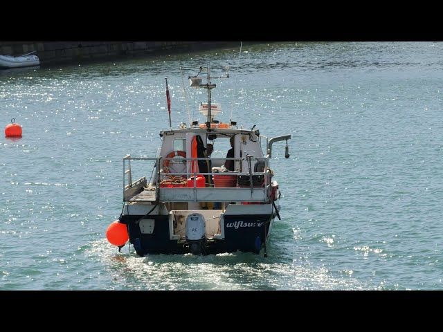 Donaghadeeko portua bizi-bizi bideoaren irudi txikia
