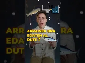 Arrainek urik edaten al dute? edukiaren irudi txikia
