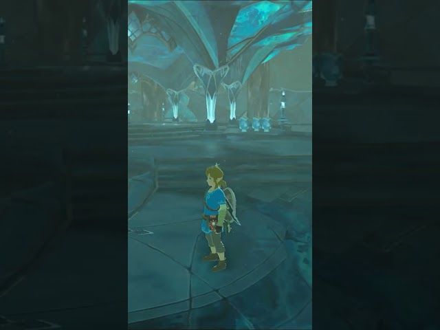 SUMENDIRAKO BIDEAN | ZELDA BREATH OF THE WILD | #14 | BYKUGGAN KIDS | SHORT #1  #zelda #botw #totk bideoaren irudi txikia