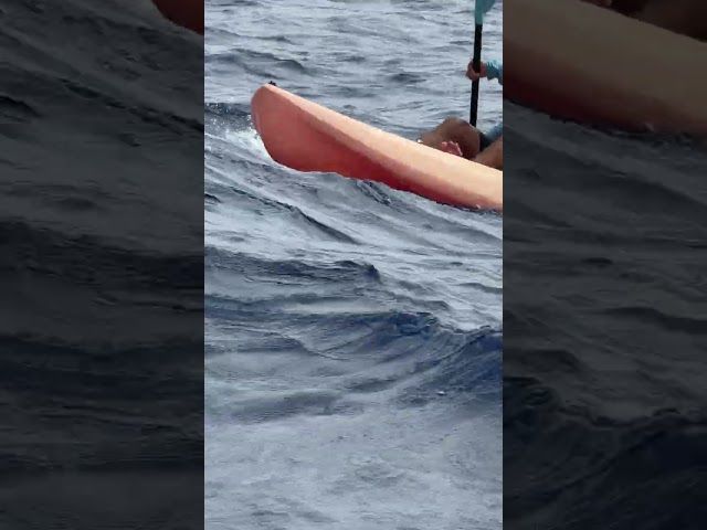 Kaiwi Channel ·HELMUGA GEROZ ETA HURBILAGO bideoaren irudi txikia