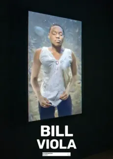 Bill Viola: retrospectiva edukiaren posterra