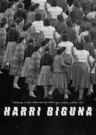 Harri biguna