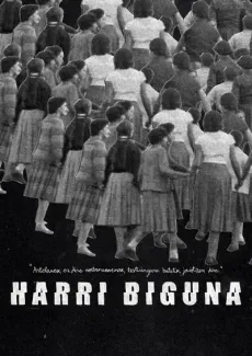 Harri biguna edukiaren posterra