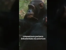 Jane Goodall zoologo eta primatologoa zendu da edukiaren irudi txikia