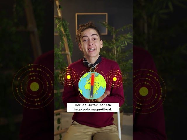 Nola funtzionatzen du iparrorratz batek? bideoaren irudi txikia