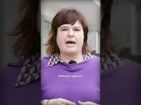 Ikastolak eta Izarkom, burujabetza teknologikoan eta kooperatibismoan sakontzeko hitzarmena edukiaren irudi txikia