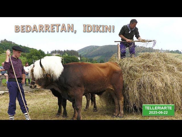 Bedarretan, idikin! (Telleriarte, 2025-06-22) (33'00'') bideoaren irudi txikia