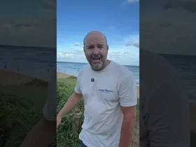 KAI KOKOA AURKITU DUGU!Hara! Iskanderrek Kai non eta nola ikusi zuen kontatuko digu.Aloha Kai!🌀🌀 edukiaren irudi txikia