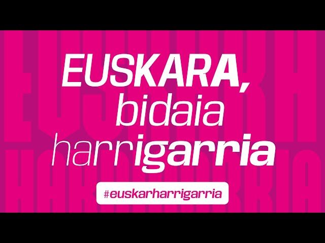 Euskara, bidaia harrigarria - Matrikula zabalik 23/24 bideoaren irudi txikia