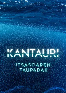 Kantauri edukiaren posterra
