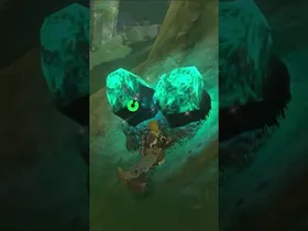 ZELDAREN BIZKARTZAINA | ZELDA BREATH OF THE WILD | #23 | BYKUGGAN KIDS | SHORT #4 #zelda #botw #totk edukiaren irudi txikia