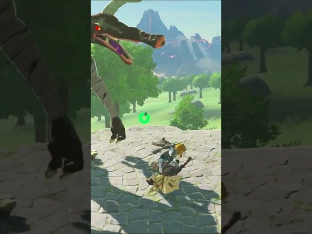 OROITZAPEN BERRIAK | ZELDA BREATH OF THE WILD | #24 | BYKUGGAN KIDS | SHORT #11 #zelda #botw #totk bideoaren irudi txikia