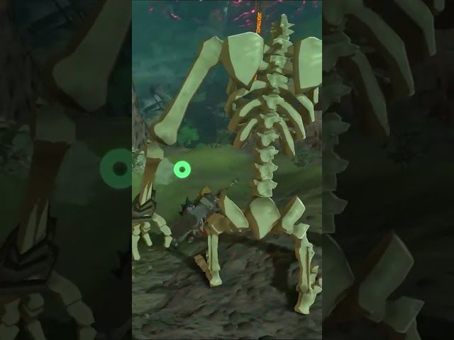 DORREZ DORRE | ZELDA BREATH OF THE WILD | #19 | BYKUGGAN KIDS | SHORT #4 #zelda #botw #totk bideoaren irudi txikia