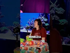 🎙️🐳🐜 𝐁-𝐀𝐋𝐄𝐀 | 𝐍𝐚𝐢𝐚𝐫𝐚 𝐎𝐫𝐦𝐚𝐳𝐚𝐛𝐚𝐥: ❞𝐆𝐢𝐳𝐚𝐫𝐭𝐞𝐚𝐫𝐢 𝐤𝐨𝐧𝐭𝐫𝐚 𝐞𝐠𝐢𝐧 𝐛𝐞𝐡𝐚𝐫 𝐝𝐢𝐨𝐠𝐮 𝐞𝐠𝐨𝐞𝐫𝐚 𝐡𝐚𝐮𝐞𝐧 𝐚𝐮𝐫𝐫𝐞𝐚𝐧❞ edukiaren irudi txikia