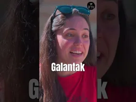 Haizearen Zain edukiaren irudi txikia