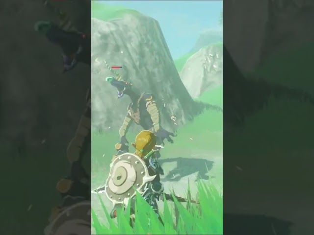 PIZTI ELEKTRIKOA | ZELDA BREATH OF THE WILD | #12 | BYKUGGAN KIDS | SHORT #5 #zelda #zeldabotw bideoaren irudi txikia