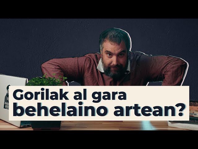 Gorilak al gara behelaino artean? | 09 | GURE ARBASOAK bideoaren irudi txikia