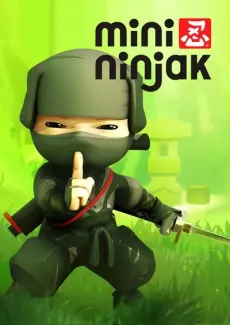 MINI NINJAK edukiaren posterra