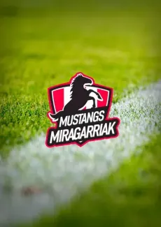 Mustangs miragarriak edukiaren posterra