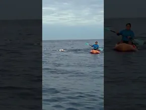 Kaiwi Channel · ISKANDER IKUSTEN DUGU! bideoaren irudi txikia