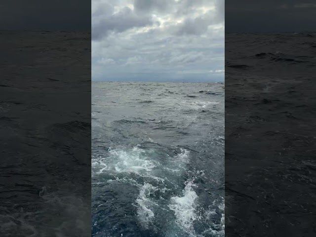 Kaiwi Channel ·HAIZEA DABIL bideoaren irudi txikia