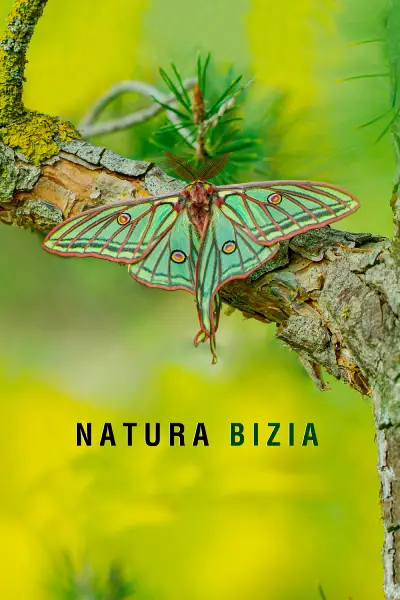 Natura Bizia