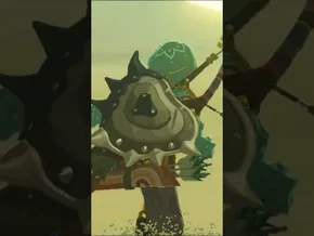 VAH NABORIS | ZELDA BREATH OF THE WILD | #27 | BYKUGGAN KIDS | SHORT #8 #zelda #botw #totk bideoaren irudi txikia