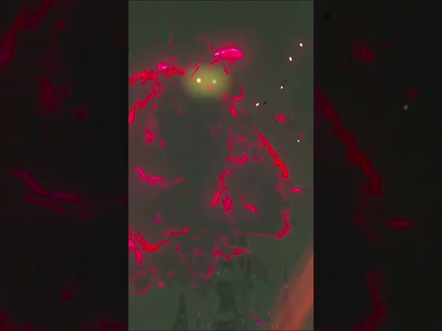 HYRULEKO GAZTELUA | ZELDA BREATH OF THE WILD | #29 | BYKUGGAN KIDS | SHORT #12 #zelda #botw #totk bideoaren irudi txikia