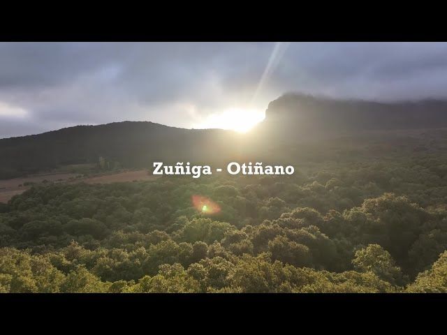 11 Leiho | Zuñiga-Otiñano bideoaren irudi txikia