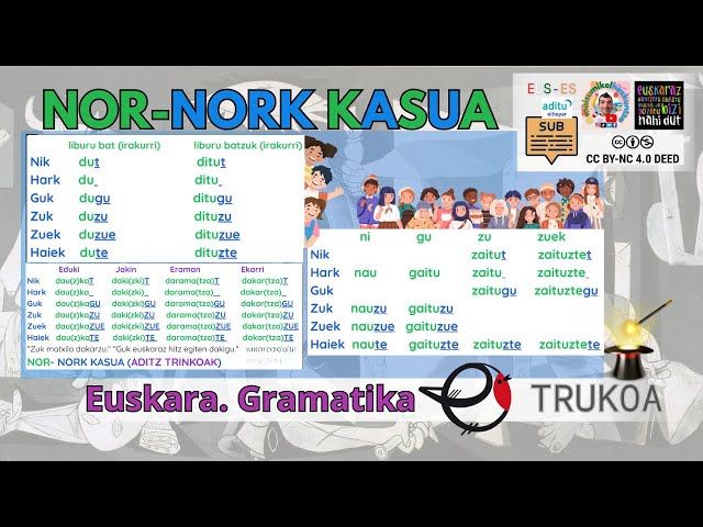 NOR-NORK kasua 🟢🔵 Truko errazak! | Euskara Gramatika | LH-BH bideoaren irudi txikia