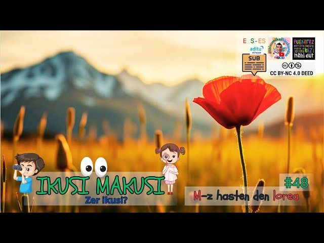 Ikusi Makusi 48 | Zer landare da? 🌺 Asmatuko duzu? bideoaren irudi txikia