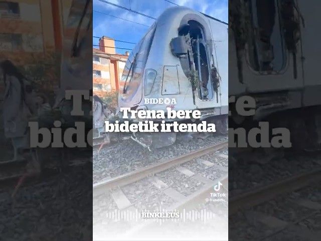 Trena bere bidetik irtenda | BINKE bideoaren irudi txikia