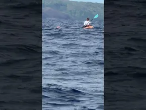 Kaiwi Channel · HAIZEA ETA OLATUAK bideoaren irudi txikia