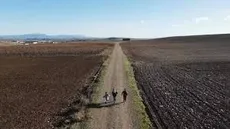 Legezko tratu txarrak XXI. mendean edukiaren posterra